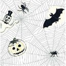 7W455-10 Thermo Transfer Paper Spider Web