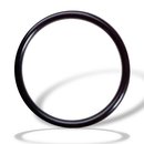 10W5502-10 O-Ring fr Giessharzgert